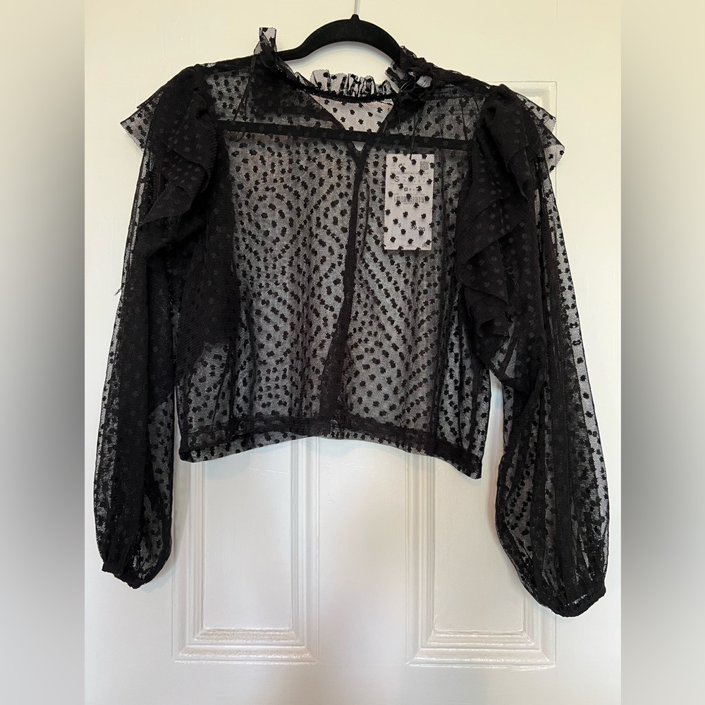 NWT. Long sleeve sheer black top.